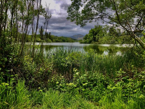 /Images/uploads/Sonoma County Regional Parks Foundation/springlake50/entries/28706thumb.jpg